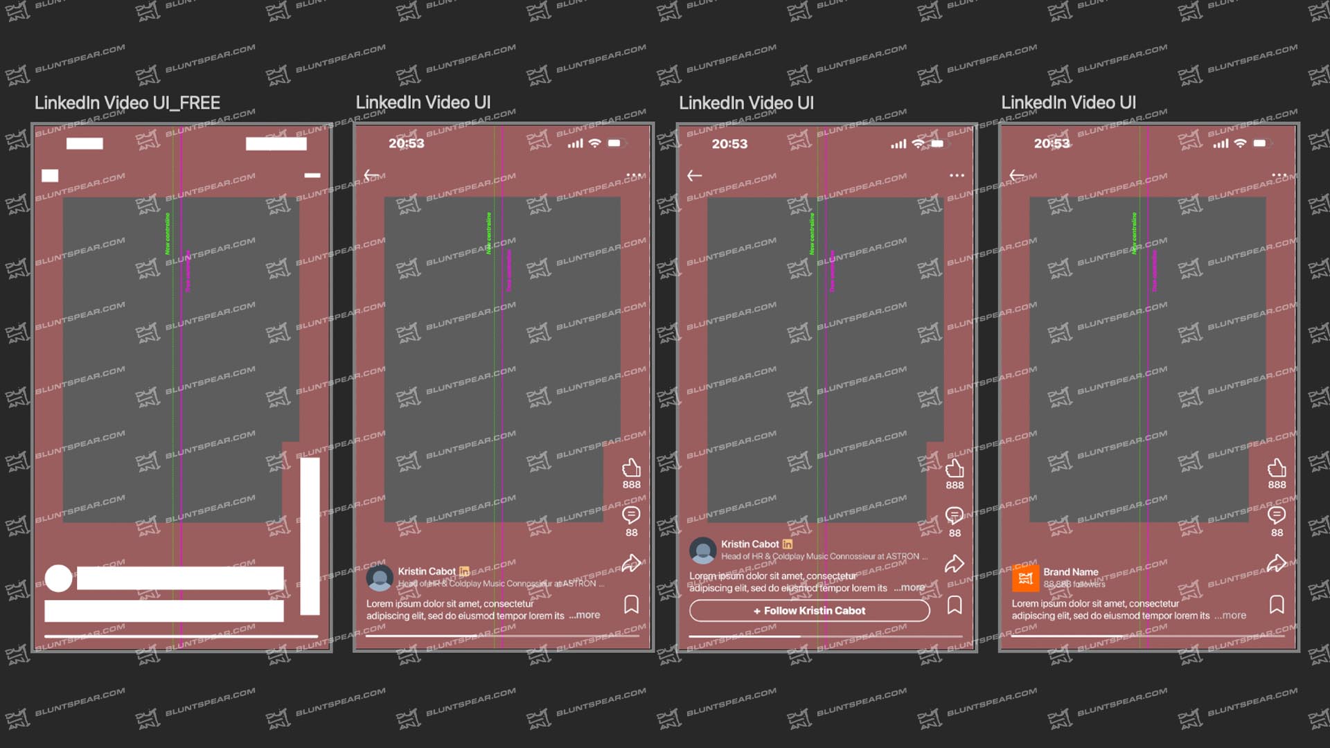 LinkedIn Video app ui overlay guide – Full/Premium version. Artwork by Dulani Wilson. All rights reserved to respective owners © 2025